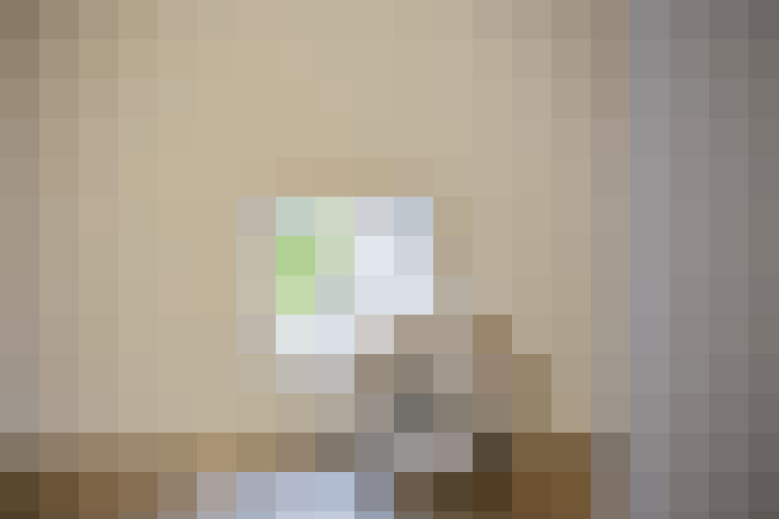  / #29