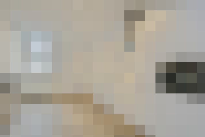  / #7