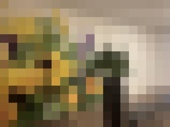  / #15