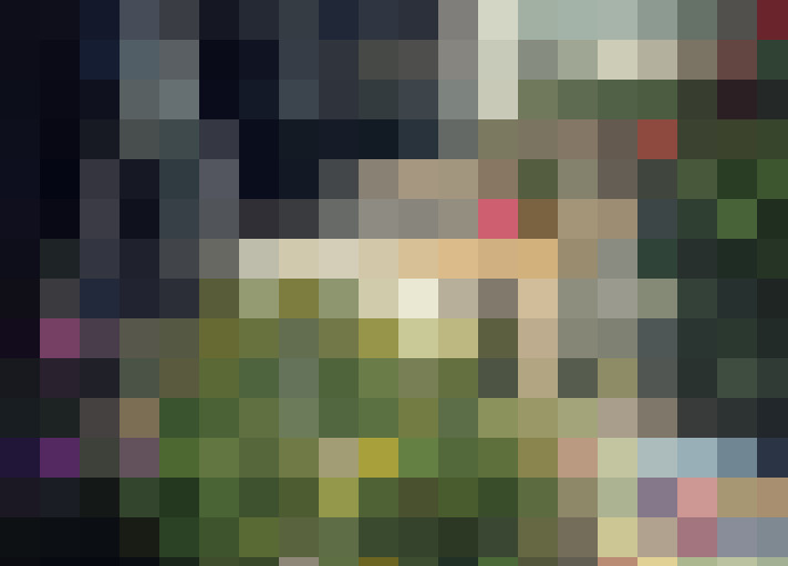 / #26