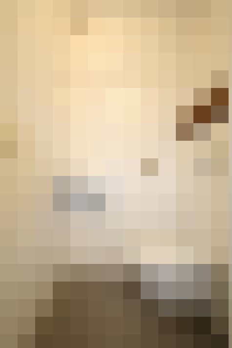  / #26