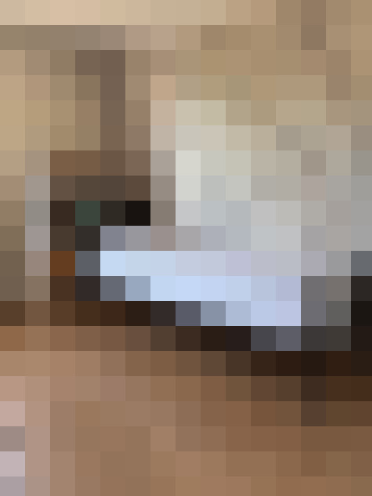  / #29