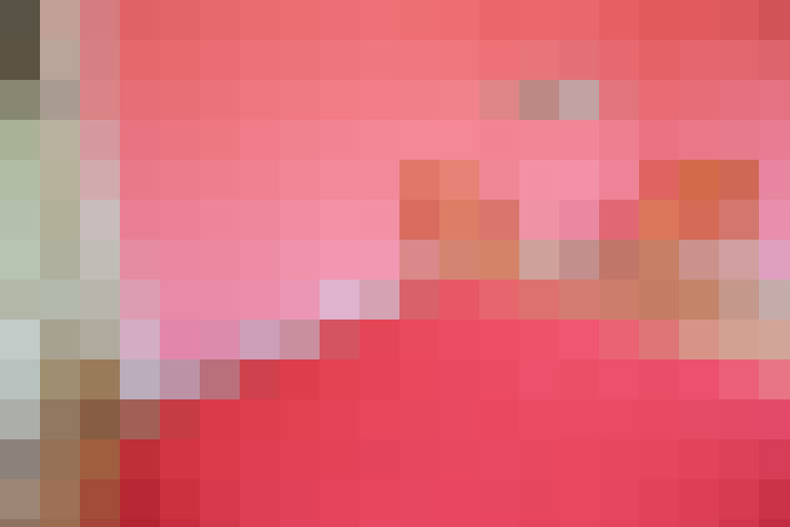  / #14