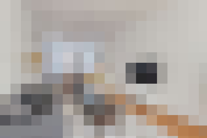  / #13