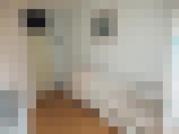  / #12