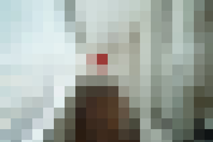  / #11