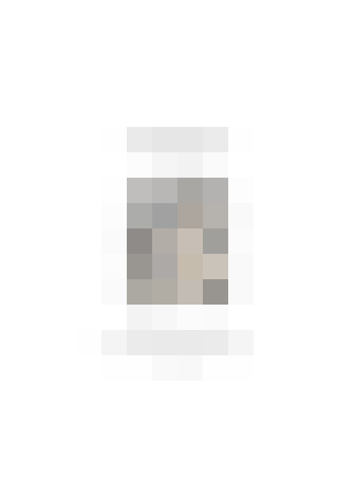  / #31