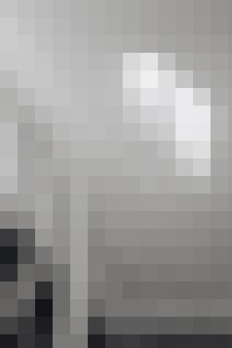  / #15