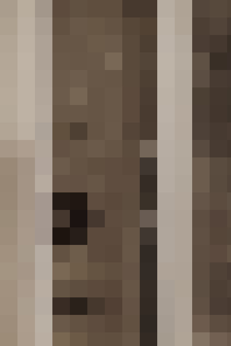  / #20