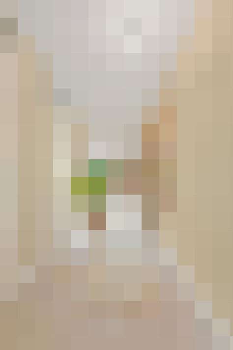  / #19