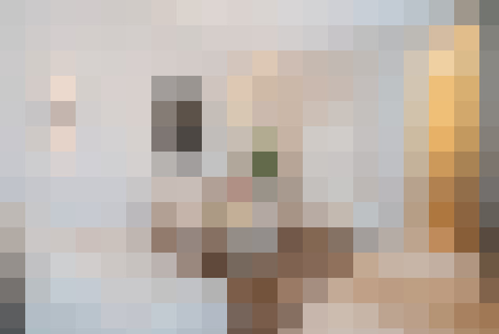  / #26