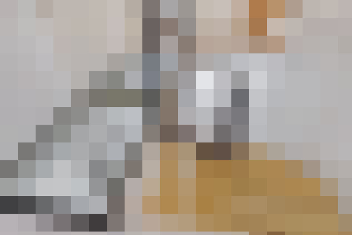  / #15