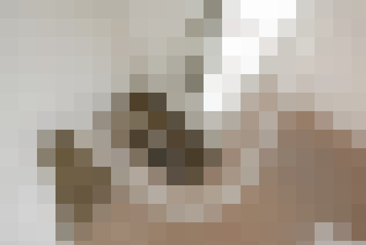  / #23