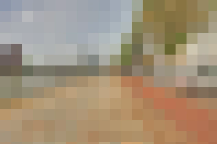  / #7