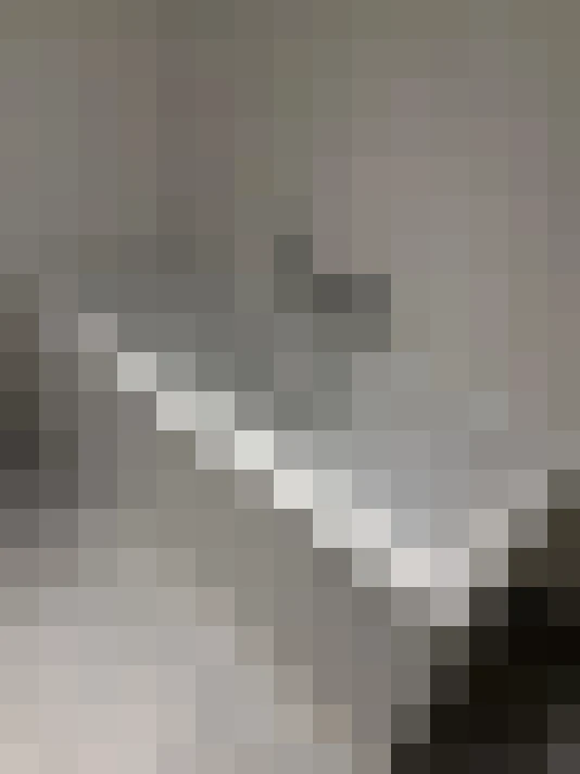  / #31
