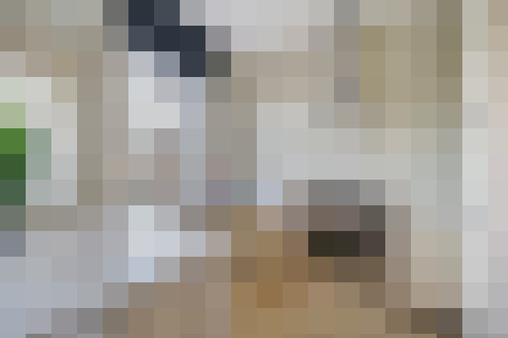  / #18