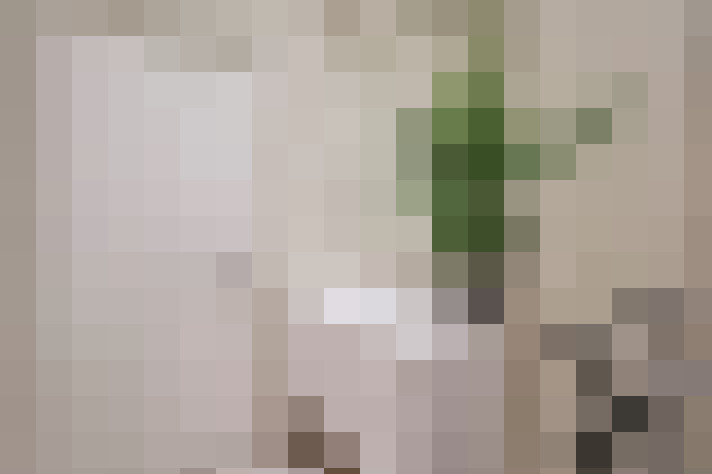  / #31