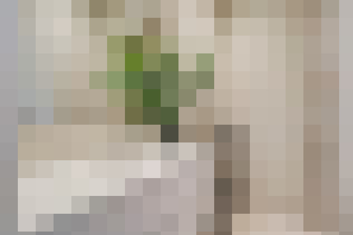  / #30