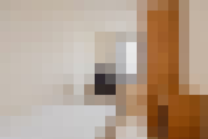  / #17