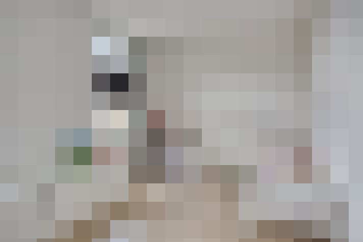  / #28