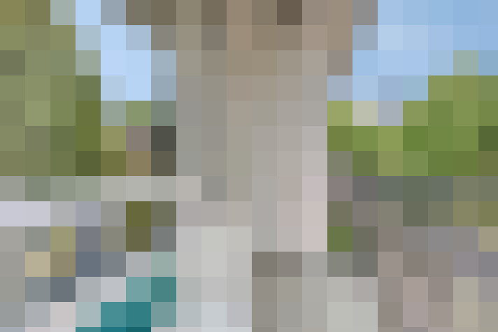  / #15