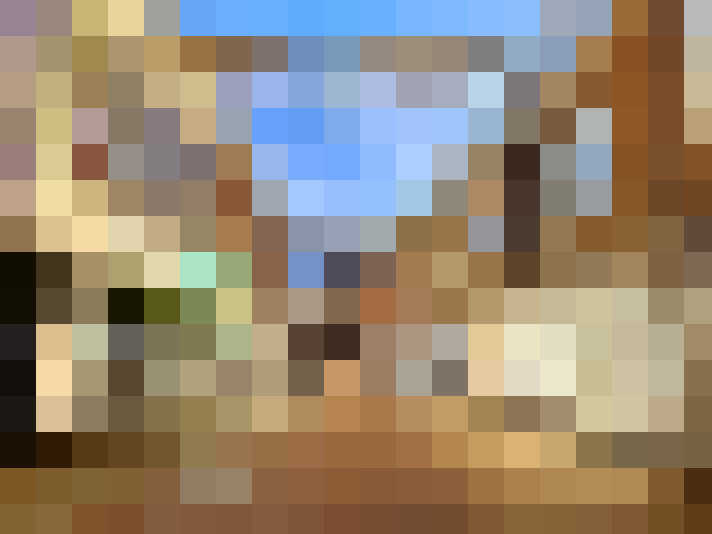  / #23