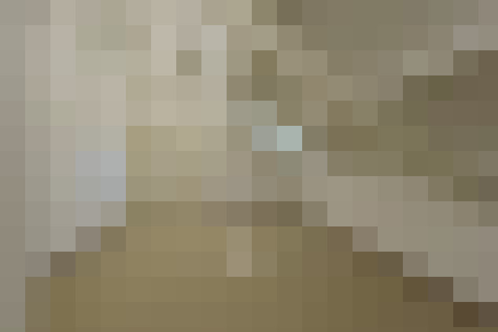  / #21