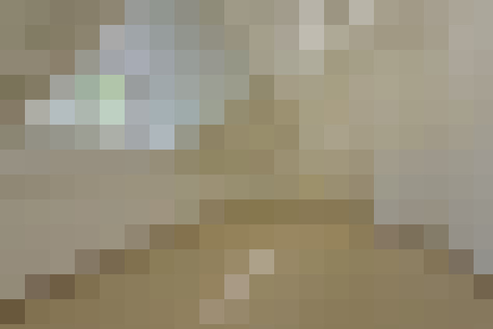  / #20
