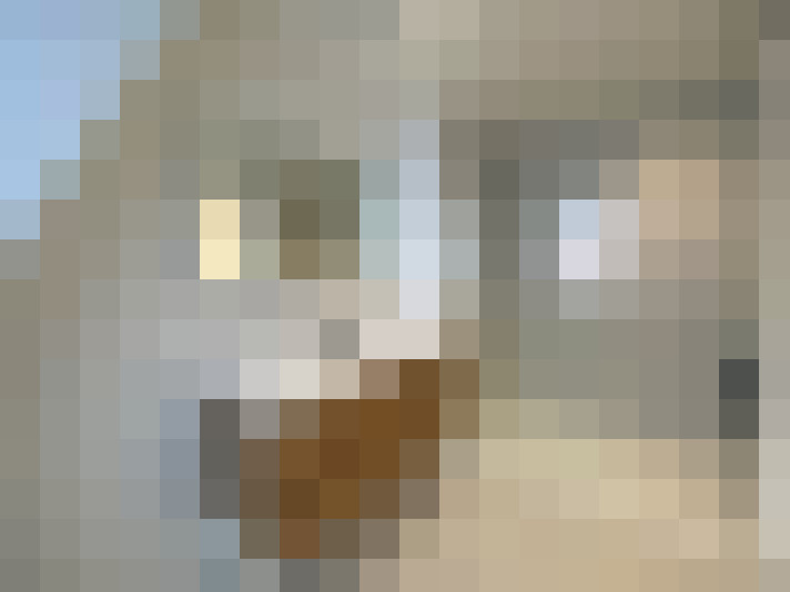  / #23