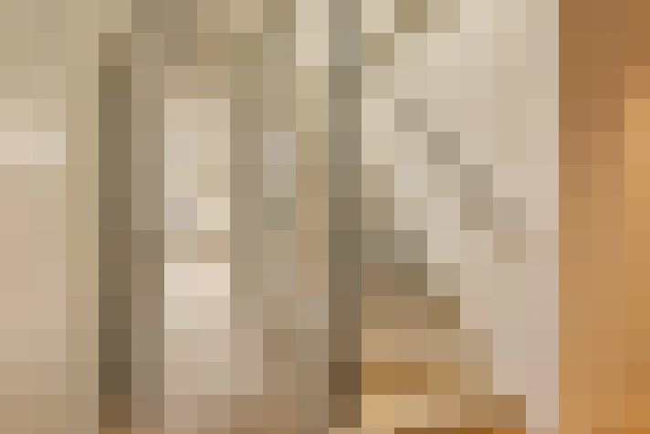  / #23