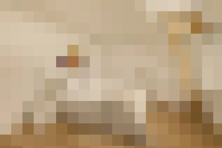  / #18