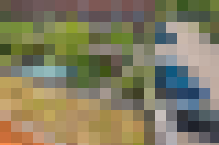  / #46