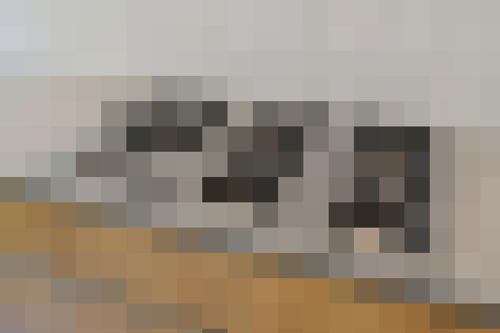  / #17