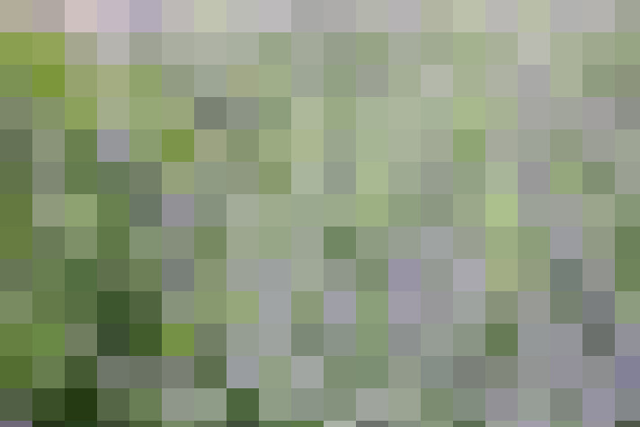  / #54