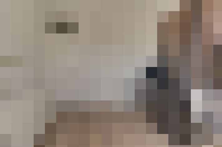  / #25