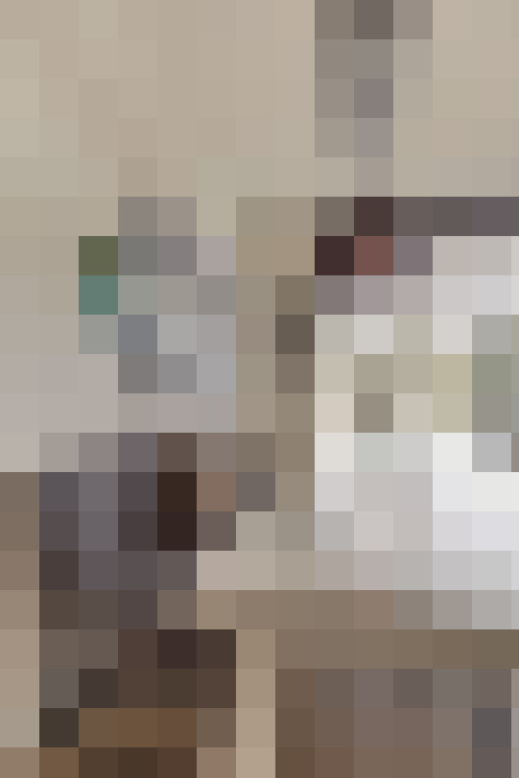  / #15