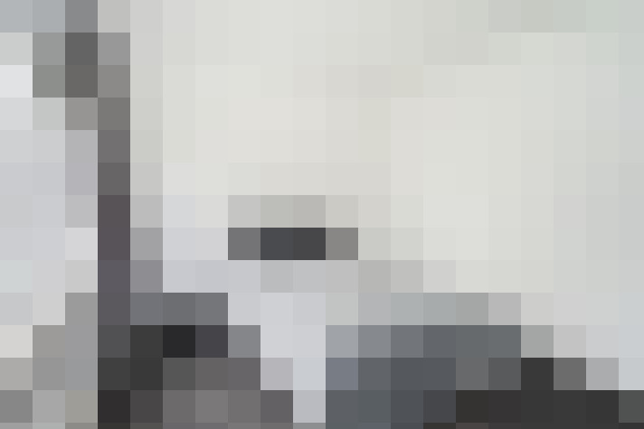  / #19