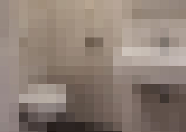  / #15