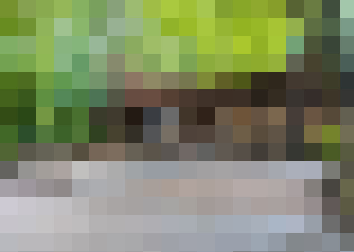  / #31