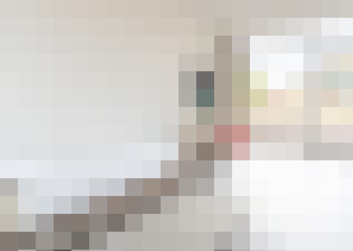  / #13