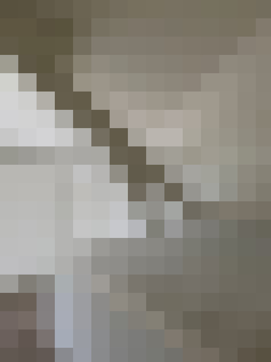  / #31