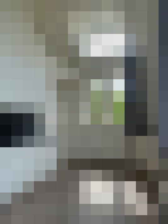  / #29
