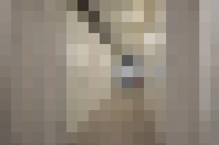  / #19