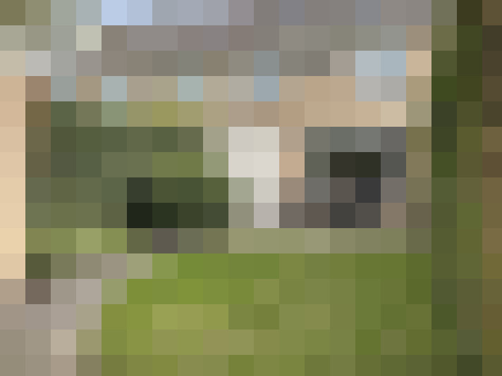  / #16