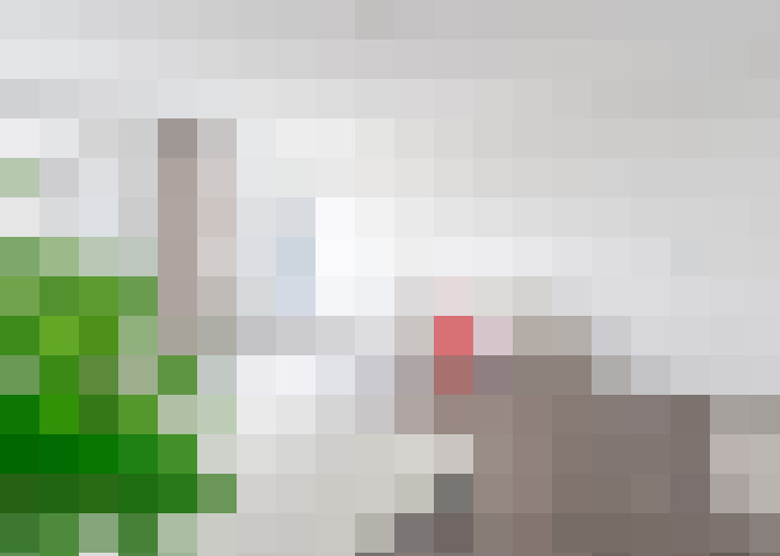  / #21