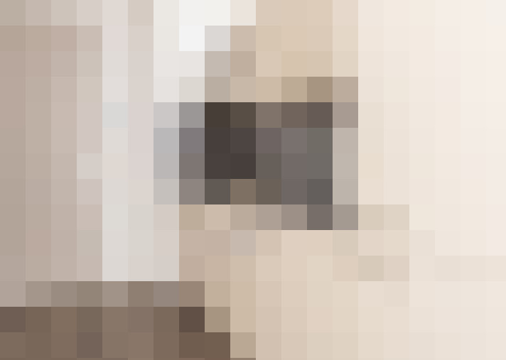  / #19