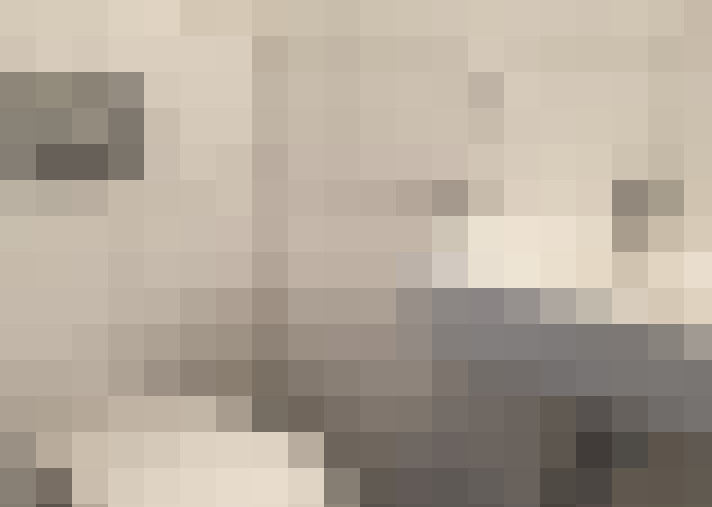  / #12
