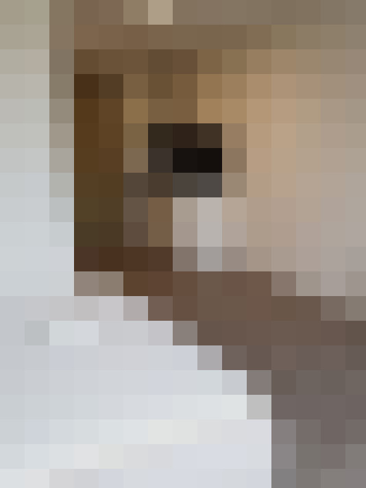  / #26