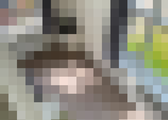  / #15