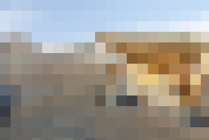  / #57